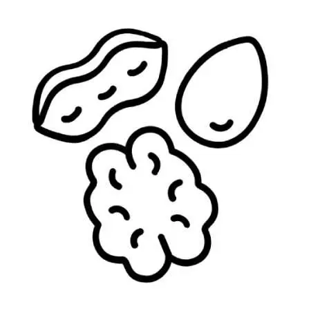 Nuts Product
